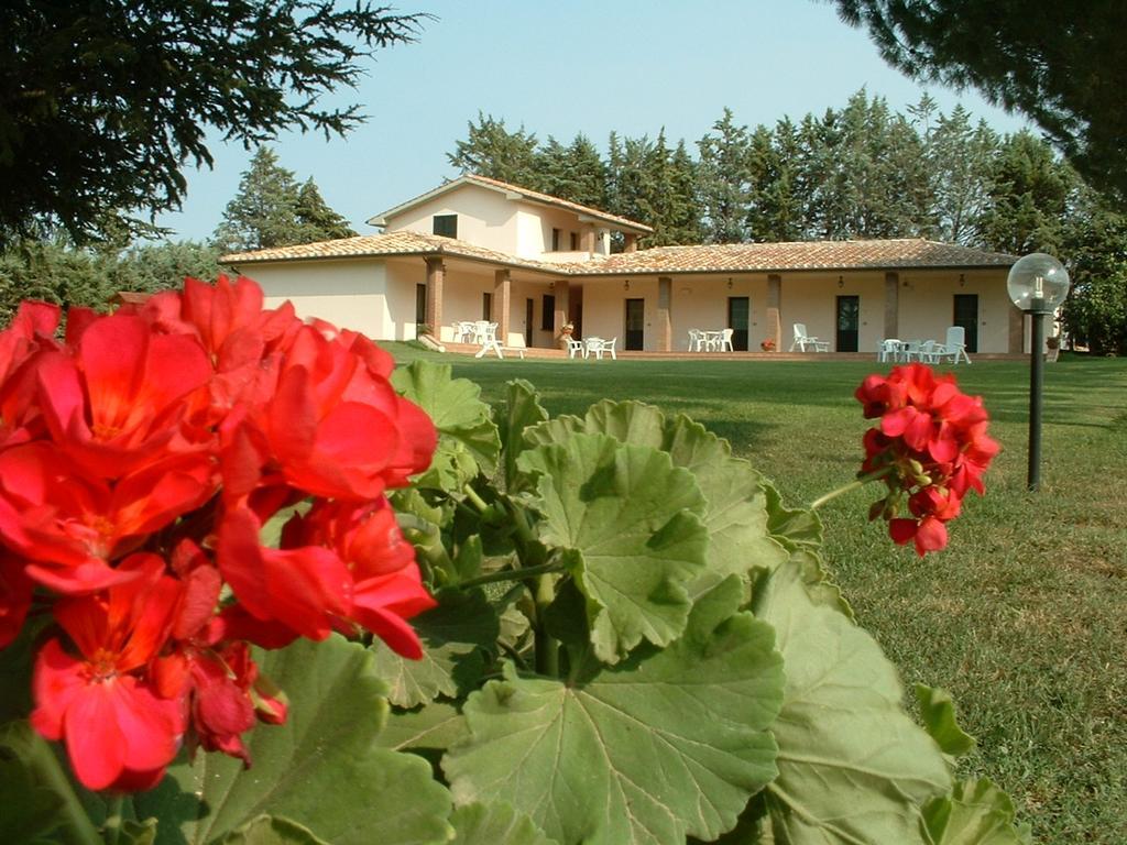 Agriturismo Valle Martina 萨杜勒尼亚 外观 照片